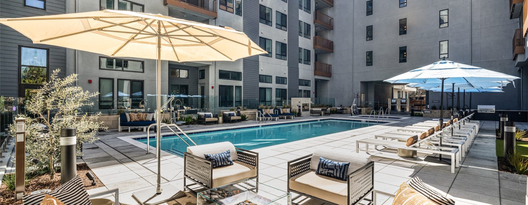 Pool at the Tolman in Fremont, CA